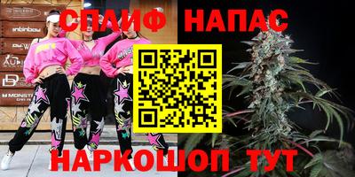 дмт Пугачёв